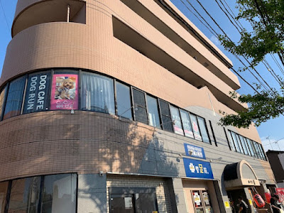 犬カフェ＆DOGラン ココハウス（COCOHOUSE) 사진 2