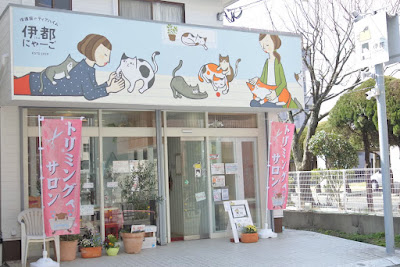 保護猫のティアハイム 伊都にゃーご