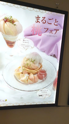 Campbell Early Fukuoka Airport Branch 사진 2