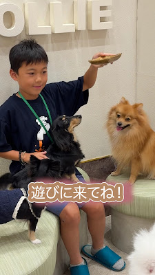いぬカフェRioイオンモール福岡店 사진 2