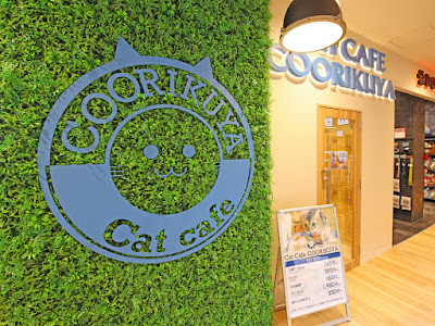 coorikuya