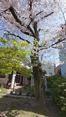 Torikaiminami Park 사진 2