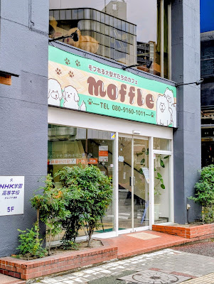 《もっふる》モフれる大型犬たちのカフェ/ドッグカフェ(福岡天神店) 사진 2